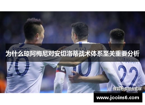 为什么琼阿梅尼对安切洛蒂战术体系至关重要分析